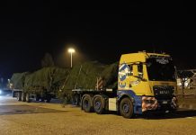 Un camion MAN a transportat bradul de Crăciun pentru Papă